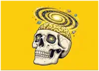Cosmos Skull Shop